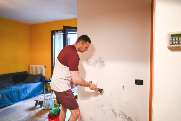 Best Industrial Mold Remediation in West Point, NE